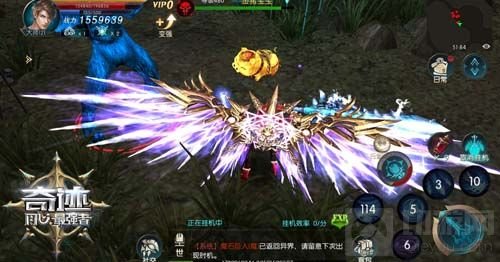 本命萌宠 《奇迹：最强者》金猪宠物霸气卖萌