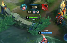 王者荣耀职业选手怎么玩庄周 Fly庄周打法