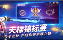 球球大作战天梯锦标赛怎么玩 赛制规则说明