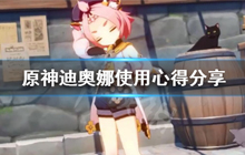 《原神》迪奥娜使用心得分享 迪奥娜怎么使用