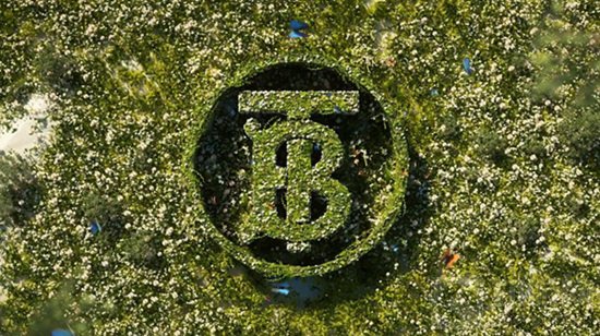 王者荣耀Burberry联动活动