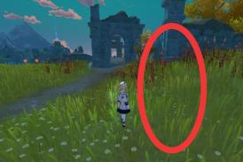 原神前往遗迹寻找圆盘任务攻略 圆盘位置分享