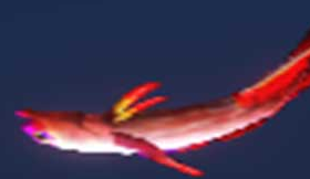 妄想山海紫线塘鳢怎么抓 妄想山海紫线塘鳢