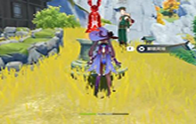 原神微风与飞鸟飞行挑战攻略 微风与飞鸟逃课攻略