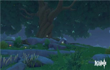 原神用晶蝶晶核制作浓缩树脂 晶蝶晶核刷新位置一览