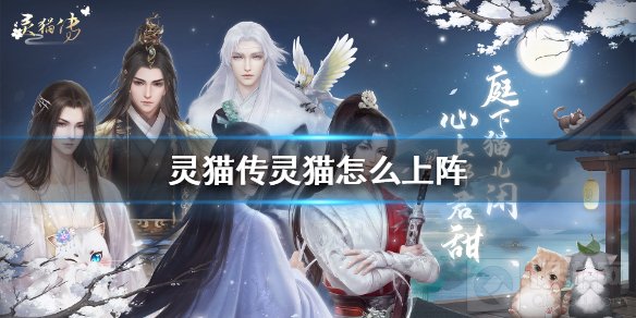 灵猫传灵猫怎么上阵 猫咪上阵方法游戏介绍