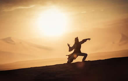 我的侠客游龙八卦掌怎么获得 八卦掌获取方法武学一览