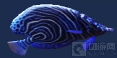 妄想山海蓝神鱼