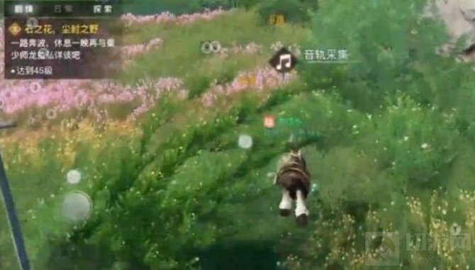 天谕手游课堂展示二昆虫