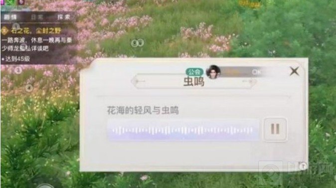 天谕手游课堂展示二昆虫