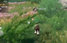 天谕手游课堂展示二昆虫在哪 昆虫声音收集攻略流程