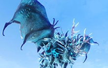 妄想山海百年异兽吞噬方向怎么选 霜狼吞噬方向选择攻略