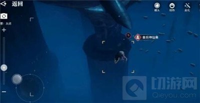 天谕手游汐愿之海鱼