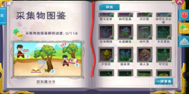 　创造与魔法苍穹幻龙饲料