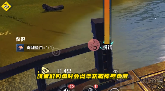 妄想山海锦鲤活动攻略 