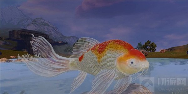 妄想山海锦鲤活动攻略 