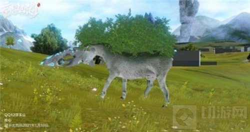 妄想山海羶根位置一览