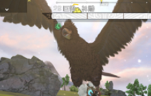 妄想山海百年神雕怎么打 百年神雕全技能介绍简单打法分享