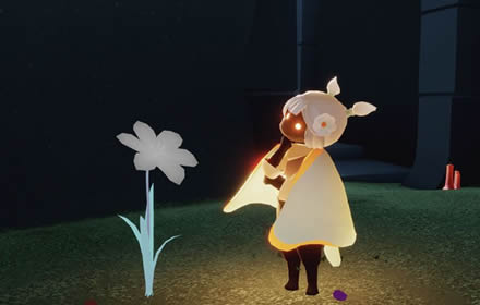 光遇小白花礼包值得买吗小百花礼包多少钱 小白花价格奖励