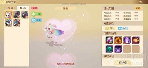 梦想新大陆宠物怎么融合 多技能宠物融合攻略宠物融合方法