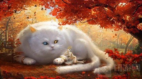 妄想山海朏朏资质介绍