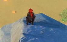 原神福至五彩活动红色生物在哪 带有红色的生物在哪拍