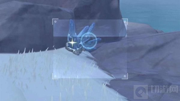 2月6日 福至五彩 蓝色生物拍照位置大全