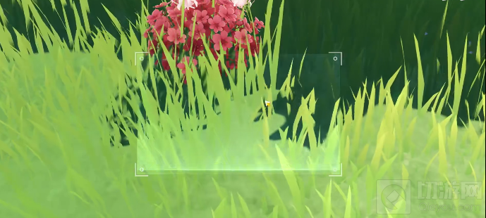 原神奇特的留影机怎么使用