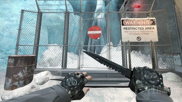 CSGO狂牙手套精神错乱多少钱