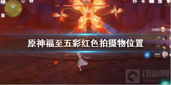原神带有红色的采集物怎么拍 福至五彩红色的采集物拍照位置
