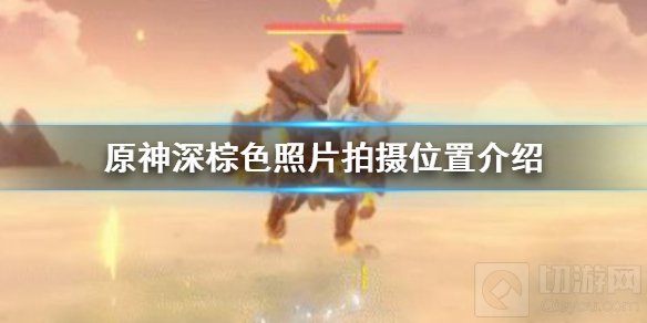 原神深棕色照片在哪拍 深棕色照片拍摄位置拍摄对象介绍