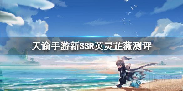 天谕手游新SSR英灵芷薇怎么样 春节版本新SSR英灵芷薇强度分析