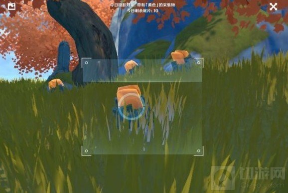 原神黄色的采集物有哪些  福至五彩黄色采集物拍摄位置介绍