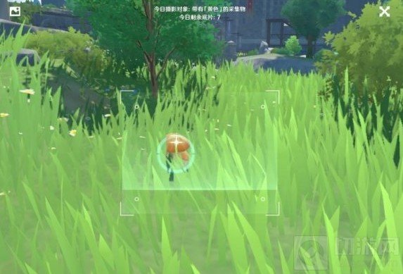 原神黄色的采集物有哪些  福至五彩黄色采集物拍摄位置介绍