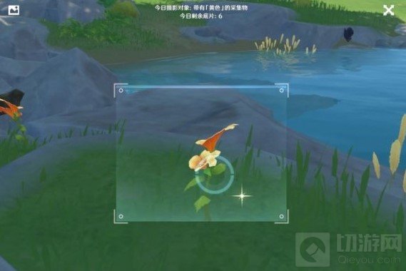 原神黄色的采集物有哪些  福至五彩黄色采集物拍摄位置介绍