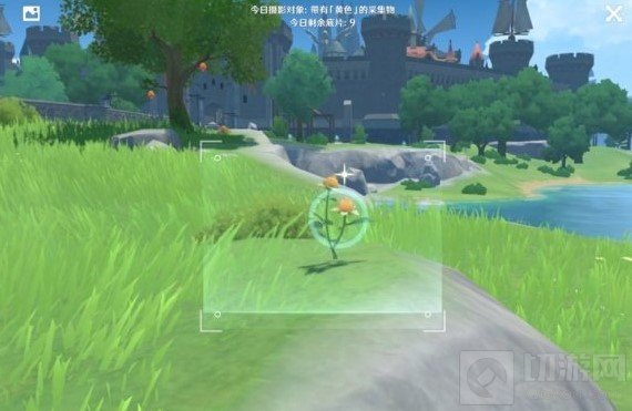 原神黄色的采集物有哪些  福至五彩黄色采集物拍摄位置介绍