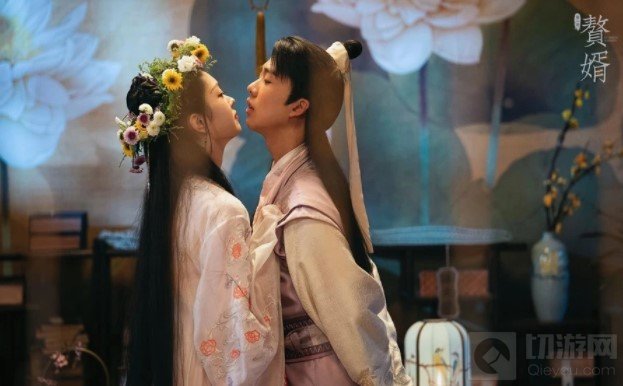 赘婿男主有几个老婆女主是谁 赘婿原著男主宁毅全部老婆介绍