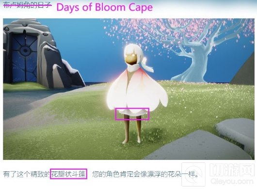 光遇樱花节活动