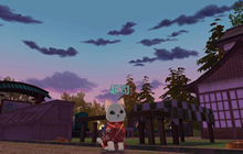 小森生活怎么养猫 小森生活养猫玩法攻略大全