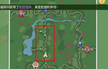 小森生活金色母鸡怎么抓 金色母鸡捕捉方法分享