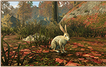 明日之后抓兔子攻略分享 野兔出没抓兔子方法介绍