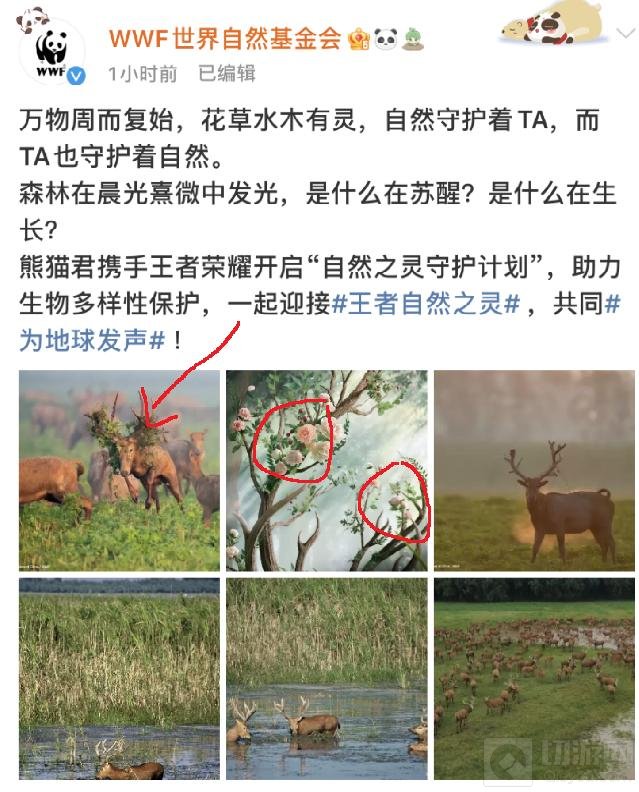 王者荣耀自然之灵皮肤