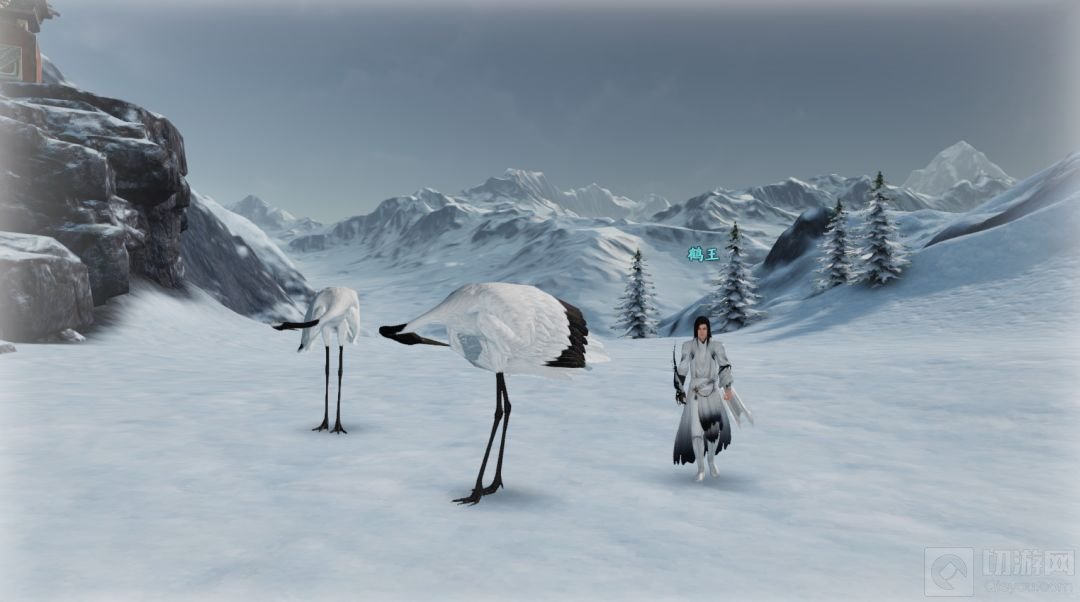 天涯明月刀手游心动贺华亭奇遇