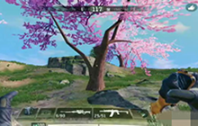 使命召唤手游使命战场地图中的樱花小镇中的湖泊像什么动物