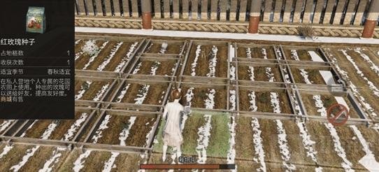 明日之后白色心语怎么玩