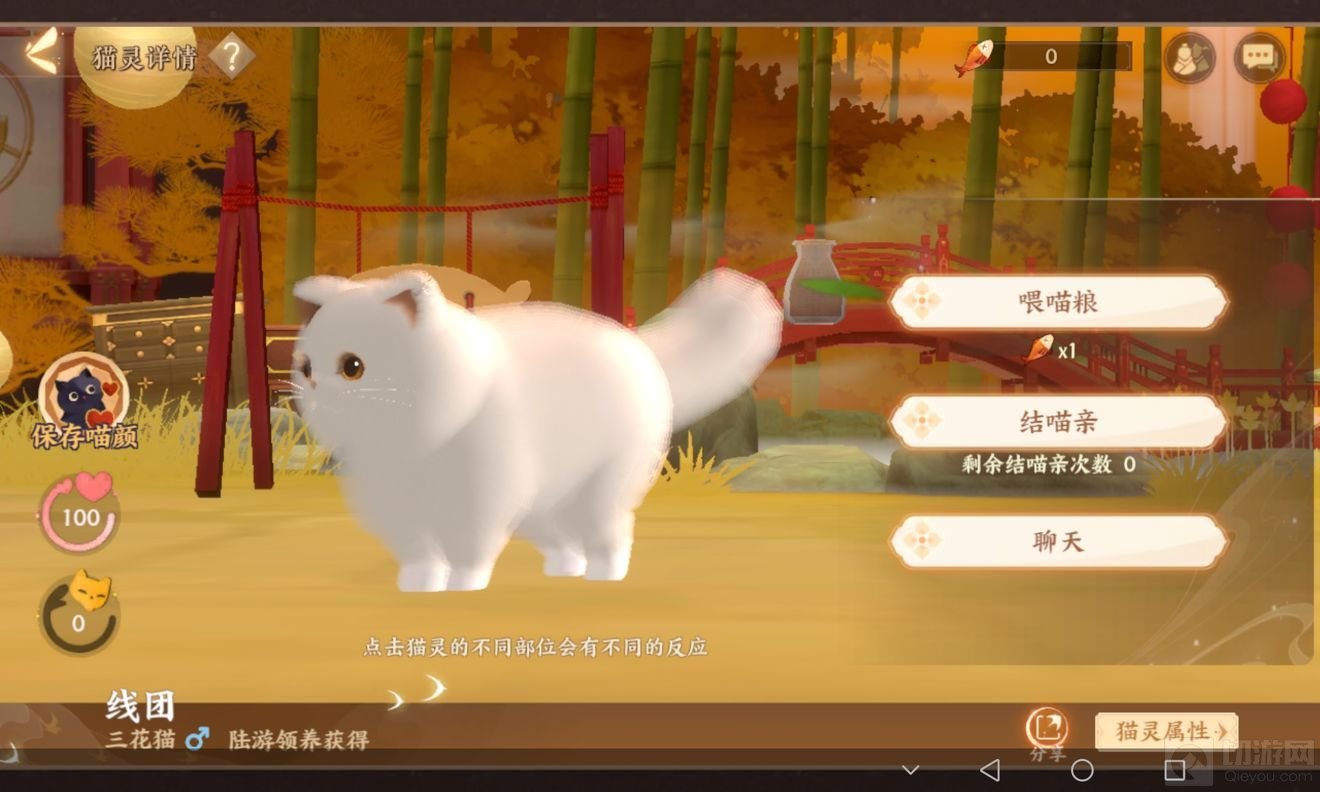 忘川风华录可爱猫咪捏脸代码大全