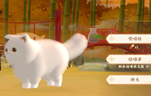 忘川风华录猫外观码大全 猫外观捏脸码汇总