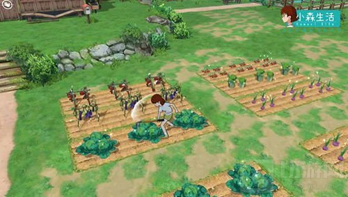 玩家苦等两年 腾讯首款治愈系生活模拟手游小森生活定档