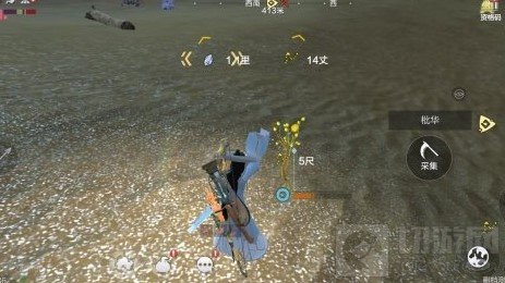 妄想山海龙骨草在哪 妄想山海东山龙骨草位置坐标介绍