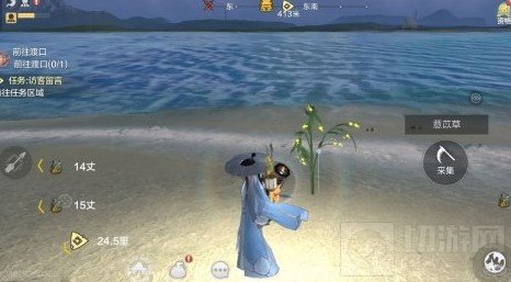 妄想山海龙骨草在哪 妄想山海东山龙骨草位置坐标介绍